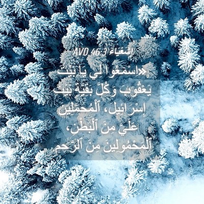 Picture 04 - إِشَعْيَاءَ 46:3 AVD - «اِسْمَعُوا لِي يَا بَيْتَ - Bible Verse Picture