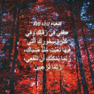 Picture 04 - إِشَعْيَاءَ 47:12 AVD - «قِفِي فِي رُقَاكِ وَفِي - Bible Verse Picture