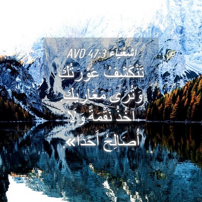 Picture 04 - إِشَعْيَاءَ 47:3 AVD - تَنْكَشِفُ عَوْرَتُكِ - Bible Verse Picture