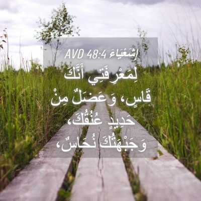 Picture 04 - إِشَعْيَاءَ 48:4 AVD - لِمَعْرِفَتِي أَنَّكَ - Bible Verse Picture