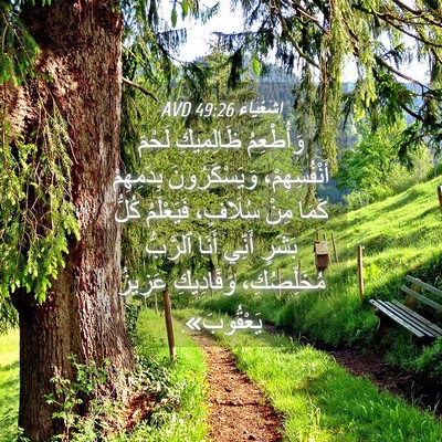 Picture 04 - إِشَعْيَاءَ 49:26 AVD - وَأُطْعِمُ ظَالِمِيكِ - Bible Verse Picture