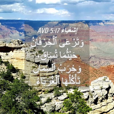 Picture 04 - إِشَعْيَاءَ 5:17 AVD - وَتَرْعَى ٱلْخِرْفَانُ - Bible Verse Picture