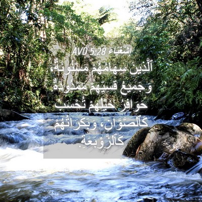 Picture 04 - إِشَعْيَاءَ 5:28 AVD - ٱلَّذِينَ سِهَامُهُمْ - Bible Verse Picture