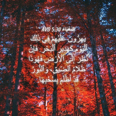 Picture 04 - إِشَعْيَاءَ 5:30 AVD - يَهِرُّونَ عَلَيْهِمْ فِي - Bible Verse Picture