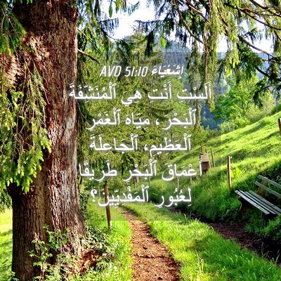 Picture 04 - إِشَعْيَاءَ 51:10 AVD - أَلَسْتِ أَنْتِ هِيَ - Bible Verse Picture