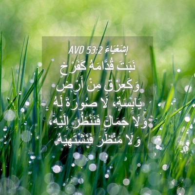 Picture 04 - إِشَعْيَاءَ 53:2 AVD - نَبَتَ قُدَّامَهُ - Bible Verse Picture