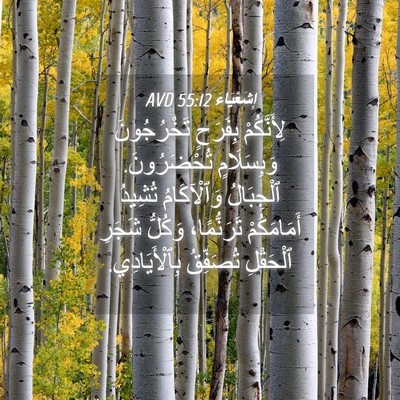 Picture 04 - إِشَعْيَاءَ 55:12 AVD - لِأَنَّكُمْ بِفَرَحٍ - Bible Verse Picture