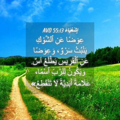 Picture 04 - إِشَعْيَاءَ 55:13 AVD - عِوَضًا عَنِ ٱلشَّوْكِ - Bible Verse Picture