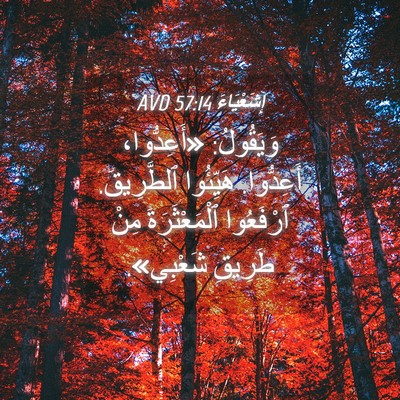 Picture 04 - إِشَعْيَاءَ 57:14 AVD - وَيَقُولُ: «أَعِدُّوا، - Bible Verse Picture