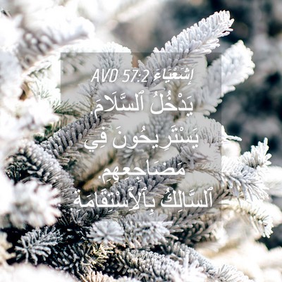Picture 04 - إِشَعْيَاءَ 57:2 AVD - يَدْخُلُ ٱلسَّلَامَ. - Bible Verse Picture
