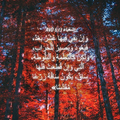 Picture 04 - إِشَعْيَاءَ 6:13 AVD - وَإِنْ بَقِيَ فِيهَا - Bible Verse Picture