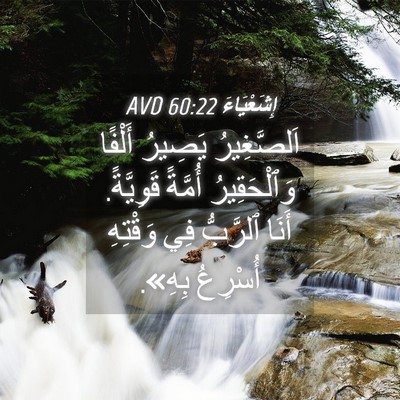 Picture 04 - إِشَعْيَاءَ 60:22 AVD - اَلصَّغِيرُ يَصِيرُ - Bible Verse Picture