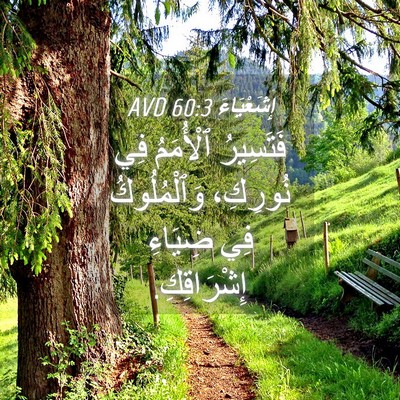 Picture 04 - إِشَعْيَاءَ 60:3 AVD - فَتَسِيرُ ٱلْأُمَمُ فِي - Bible Verse Picture