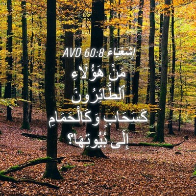Picture 04 - إِشَعْيَاءَ 60:8 AVD - مَنْ هَؤُلَاءِ - Bible Verse Picture