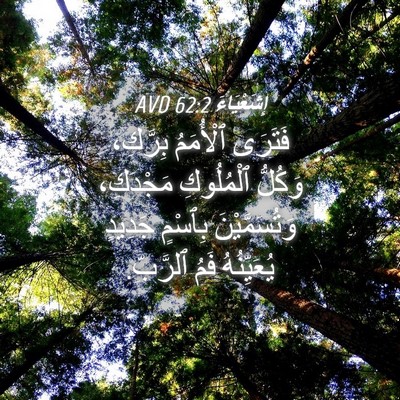 Picture 04 - إِشَعْيَاءَ 62:2 AVD - فَتَرَى ٱلْأُمَمُ - Bible Verse Picture
