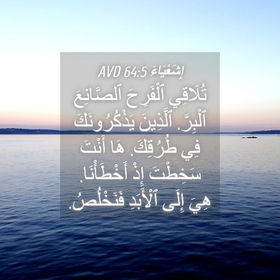 Picture 04 - إِشَعْيَاءَ 64:5 AVD - تُلَاقِي ٱلْفَرِحَ - Bible Verse Picture
