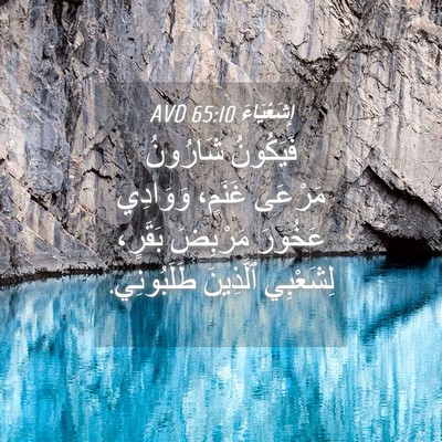 Picture 04 - إِشَعْيَاءَ 65:10 AVD - فَيَكُونُ شَارُونُ - Bible Verse Picture