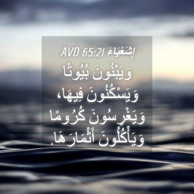 Picture 04 - إِشَعْيَاءَ 65:21 AVD - وَيَبْنُونَ بُيُوتًا - Bible Verse Picture