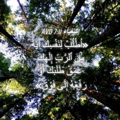 Picture 04 - إِشَعْيَاءَ 7:11 AVD - «اُطْلُبْ لِنَفْسِكَ - Bible Verse Picture
