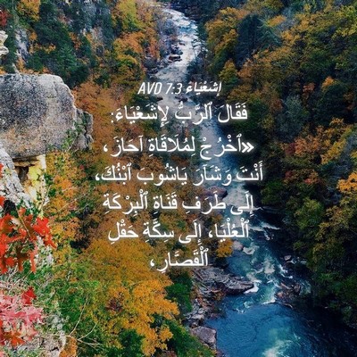 Picture 04 - إِشَعْيَاءَ 7:3 AVD - فَقَالَ ٱلرَّبُّ - Bible Verse Picture