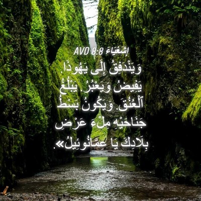 Picture 04 - إِشَعْيَاءَ 8:8 AVD - وَيَنْدَفِقُ إِلَى - Bible Verse Picture