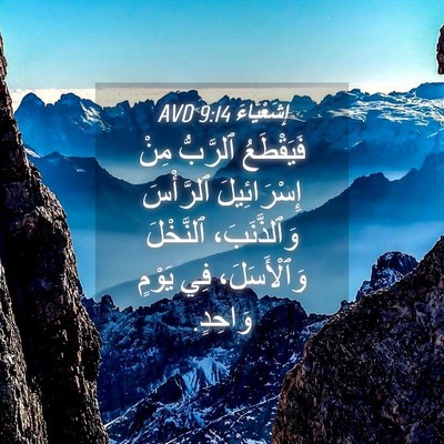 Picture 04 - إِشَعْيَاءَ 9:14 AVD - فَيَقْطَعُ ٱلرَّبُّ مِنْ - Bible Verse Picture