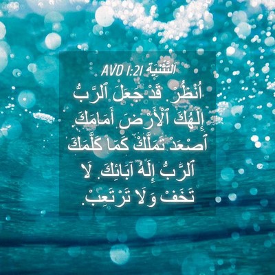 Picture 04 - اَلتَّثْنِيَة 1:21 AVD - اُنْظُرْ. قَدْ جَعَلَ - Bible Verse Picture