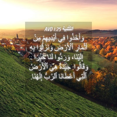 Picture 04 - اَلتَّثْنِيَة 1:25 AVD - وَأَخَذُوا فِي - Bible Verse Picture