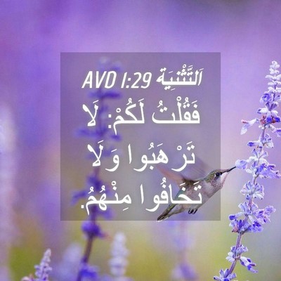 Picture 04 - اَلتَّثْنِيَة 1:29 AVD - فَقُلْتُ لَكُمْ: لَا - Bible Verse Picture
