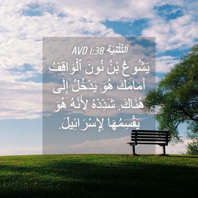 Picture 04 - اَلتَّثْنِيَة 1:38 AVD - يَشُوعُ بْنُ نُونَ - Bible Verse Picture