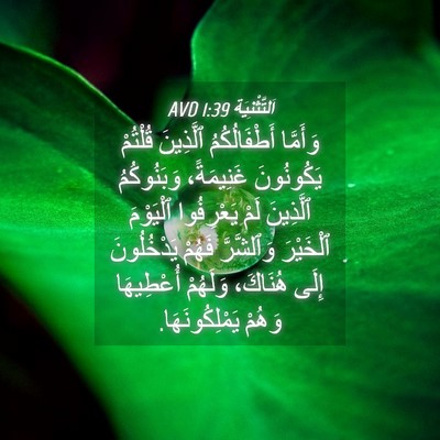 Picture 04 - اَلتَّثْنِيَة 1:39 AVD - وَأَمَّا أَطْفَالُكُمُ - Bible Verse Picture