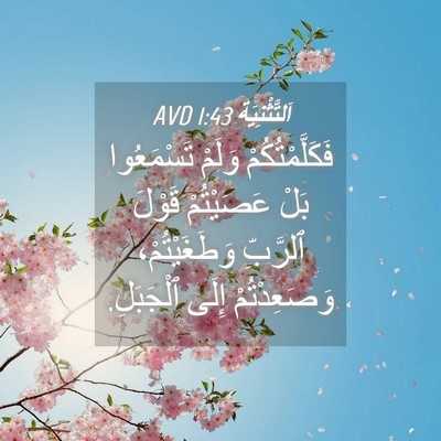 Picture 04 - اَلتَّثْنِيَة 1:43 AVD - فَكَلَّمْتُكُمْ وَلَمْ - Bible Verse Picture
