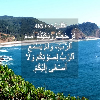 Picture 04 - اَلتَّثْنِيَة 1:45 AVD - فَرَجَعْتُمْ وَبَكَيْتُمْ - Bible Verse Picture