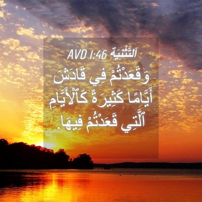 Picture 04 - اَلتَّثْنِيَة 1:46 AVD - وَقَعَدْتُمْ فِي قَادَشَ - Bible Verse Picture