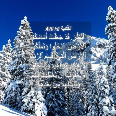 Picture 04 - اَلتَّثْنِيَة 1:8 AVD - اُنْظُرْ. قَدْ جَعَلْتُ - Bible Verse Picture