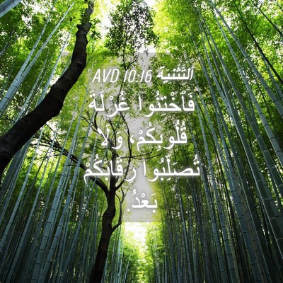 Picture 04 - اَلتَّثْنِيَة 10:16 AVD - فَٱخْتِنُوا غُرْلَةَ - Bible Verse Picture