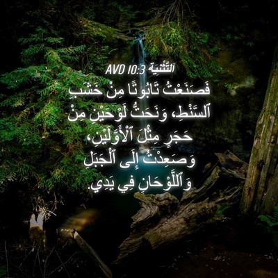 Picture 04 - اَلتَّثْنِيَة 10:3 AVD - فَصَنَعْتُ تَابُوتًا مِنْ - Bible Verse Picture