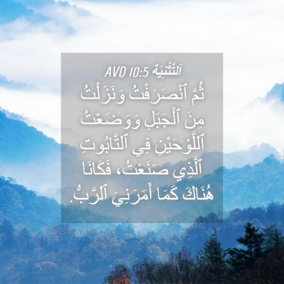 Picture 04 - اَلتَّثْنِيَة 10:5 AVD - ثُمَّ ٱنْصَرَفْتُ - Bible Verse Picture