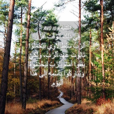 Picture 04 - اَلتَّثْنِيَة 10:8 AVD - فِي ذَلِكَ ٱلْوَقْتِ - Bible Verse Picture