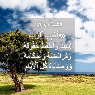 Picture 04 - اَلتَّثْنِيَة 11:1 AVD - «فَأَحْبِبِ ٱلرَّبَّ - Bible Verse Picture