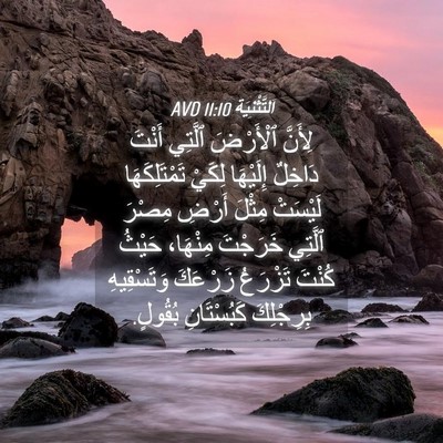 Picture 04 - اَلتَّثْنِيَة 11:10 AVD - لِأَنَّ ٱلْأَرْضَ ٱلَّتِي - Bible Verse Picture