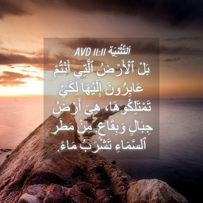 Picture 04 - اَلتَّثْنِيَة 11:11 AVD - بَلْ ٱلْأَرْضُ ٱلَّتِي - Bible Verse Picture