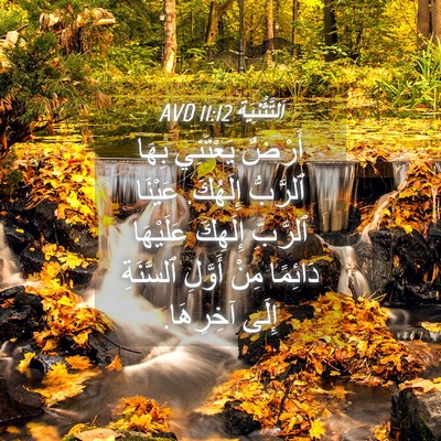 Picture 04 - اَلتَّثْنِيَة 11:12 AVD - أَرْضٌ يَعْتَنِي بِهَا - Bible Verse Picture