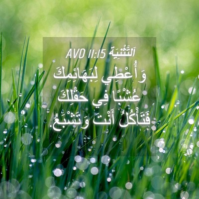 Picture 04 - اَلتَّثْنِيَة 11:15 AVD - وَأُعْطِي لِبَهَائِمِكَ - Bible Verse Picture
