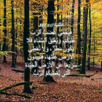 Picture 04 - اَلتَّثْنِيَة 11:17 AVD - فَيَحْمَى غَضَبُ ٱلرَّبِّ - Bible Verse Picture