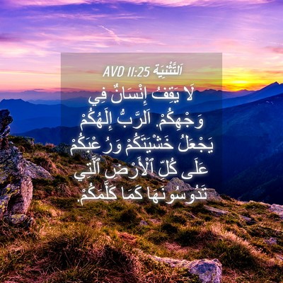 Picture 04 - اَلتَّثْنِيَة 11:25 AVD - لَا يَقِفُ إِنْسَانٌ فِي - Bible Verse Picture