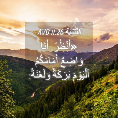 Picture 04 - اَلتَّثْنِيَة 11:26 AVD - «اُنْظُرْ. أَنَا وَاضِعٌ - Bible Verse Picture