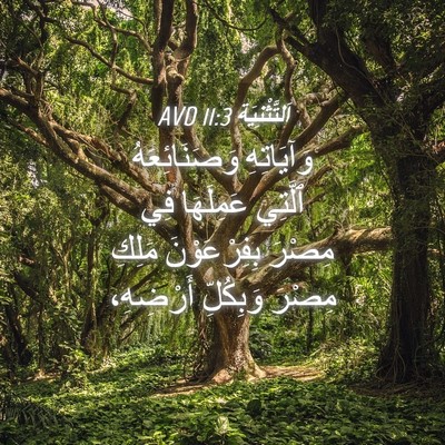 Picture 04 - اَلتَّثْنِيَة 11:3 AVD - وَآيَاتِهِ وَصَنَائِعَهُ - Bible Verse Picture
