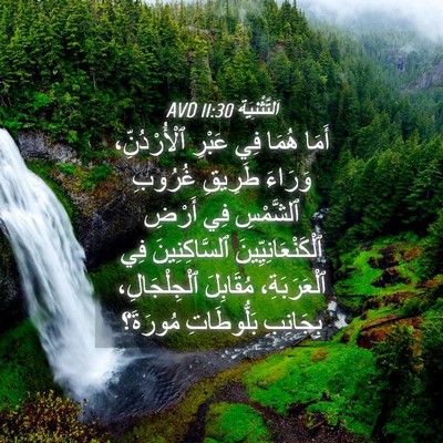 Picture 04 - اَلتَّثْنِيَة 11:30 AVD - أَمَا هُمَا فِي عَبْرِ - Bible Verse Picture