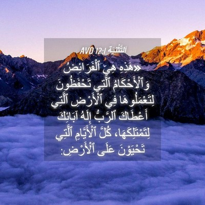 Picture 04 - اَلتَّثْنِيَة 12:1 AVD - «هَذِهِ هِيَ ٱلْفَرَائِضُ - Bible Verse Picture